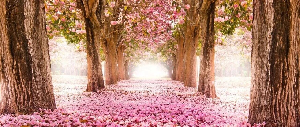 日本人的战败观！