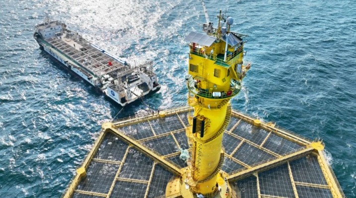 深海养殖是怎么跑通政治服务经济逻辑的？