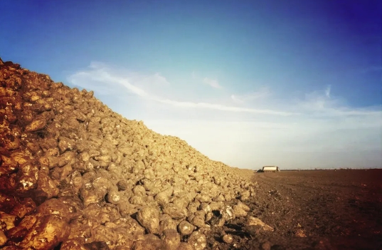 这场家门口的战火，竟关乎中国反制美国最大的底牌！