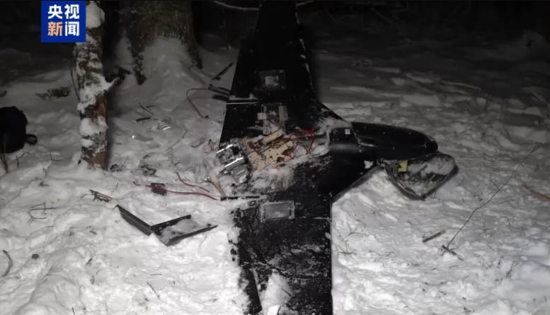 刺杀普京，这事非常危险，后果很严重！