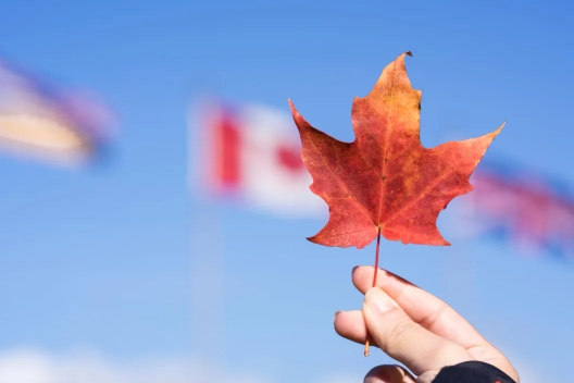 美国开始世纪大围猎，加拿大急切来华谋求一条出路！