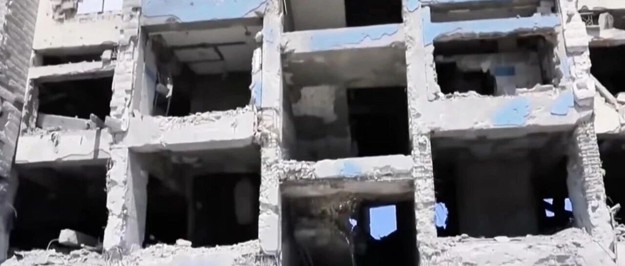 和平委员会是个什么鸟？