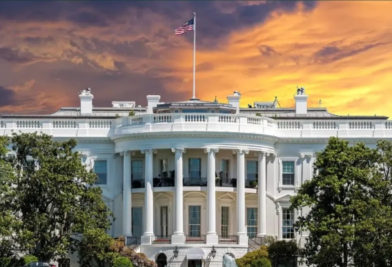 搞政治的回不了头！