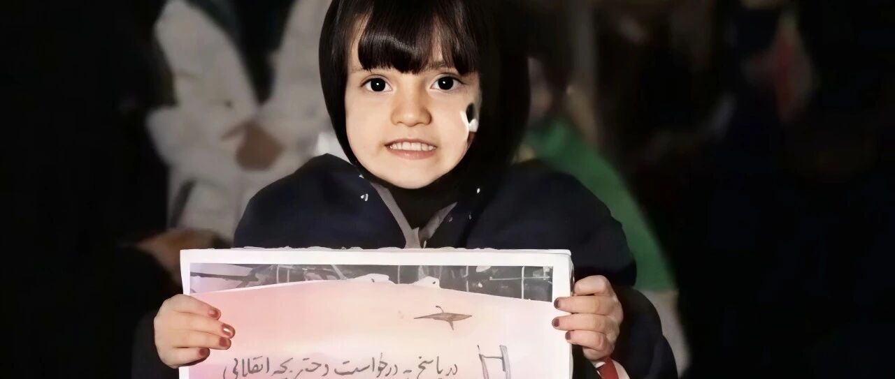 伊朗的“面壁计划”!