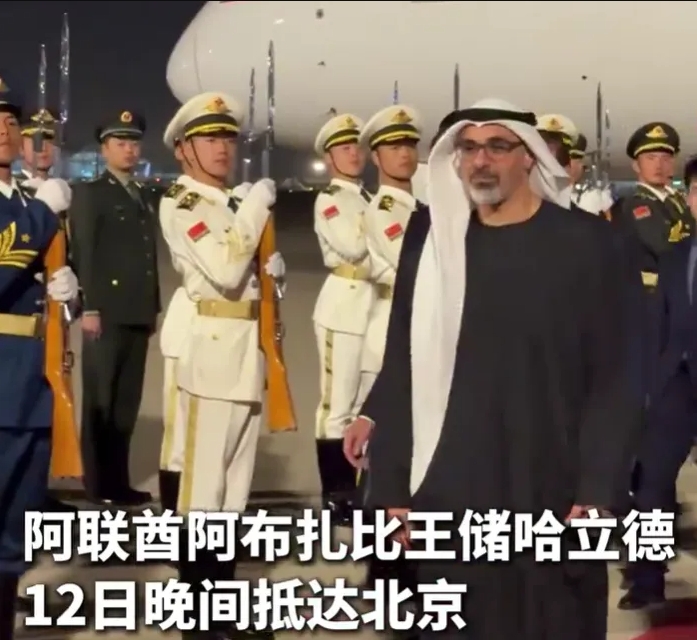 难怪紧急访华,阿联酋求救来了!