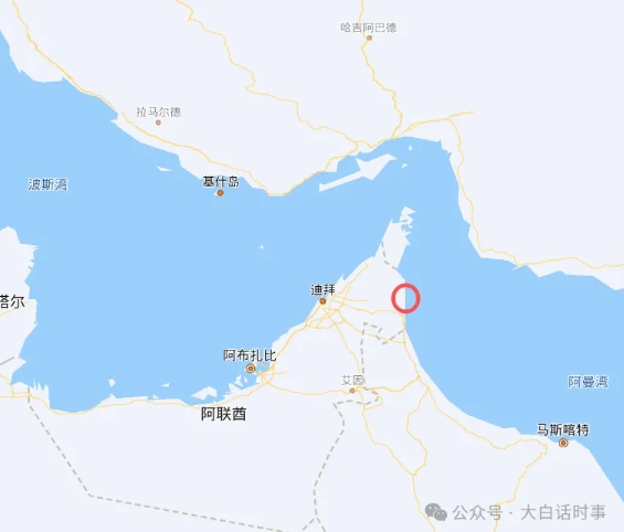 阿联酋退出欧佩克，与沙特矛盾公开化！