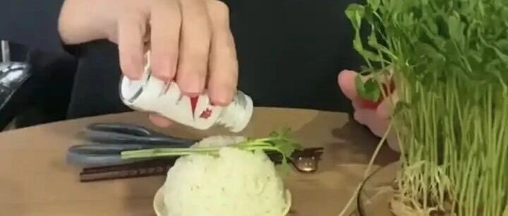 食草民族的“绿色大米”！