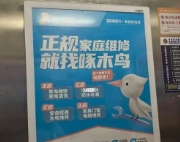 这只“啄木鸟”为什么能够持续祸害老百姓？